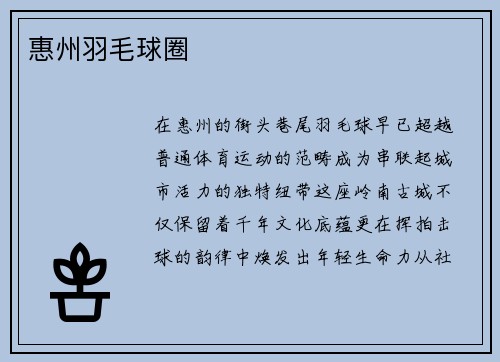 惠州羽毛球圈